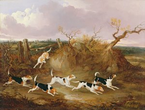Beagle in piena corsa, 1845